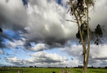 一半一半游戏正式上线，趣味互动等你来挑战！