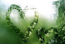 周先旺被双开：武汉原市长违纪违法细节披露